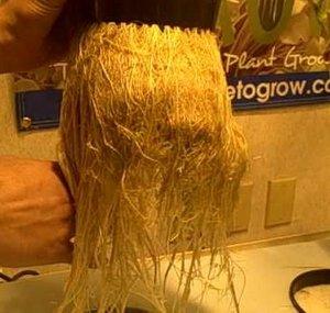 Sure ToGrow