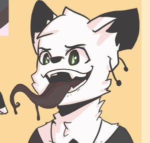 TheKitsuneGamer