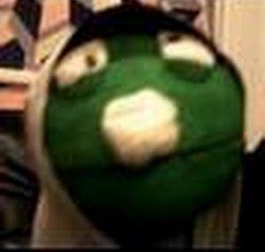 TomVloggt