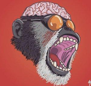 AcidMonkeyKart