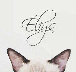Eliys