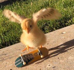 Eu e meu skate 