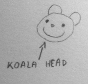 Friendly Koala