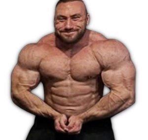Germanbull3