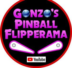 Gonzo's Pinball Flipperama