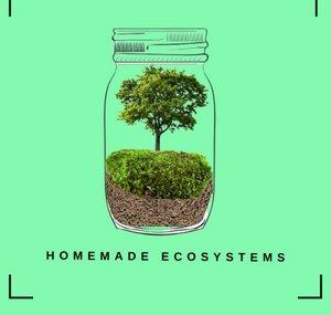 Homemade Ecosystems