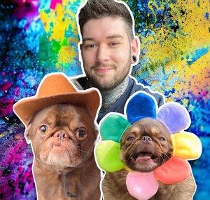 King Chilli The Pug