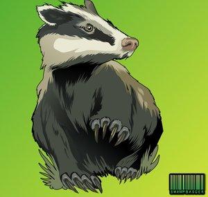 SwampBadger