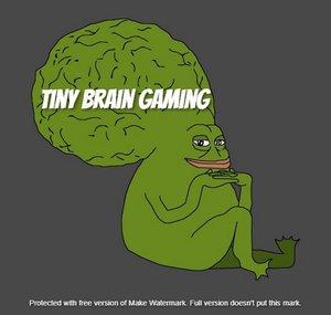 Tiny Brain Gaming