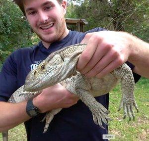 Will Robertson's Wildlife