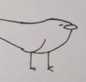 ewe