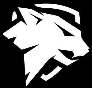 Lynx Defense