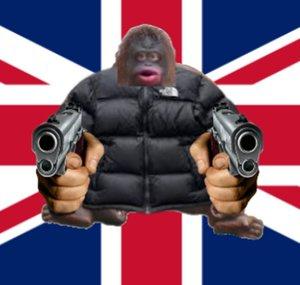 mr cheesington