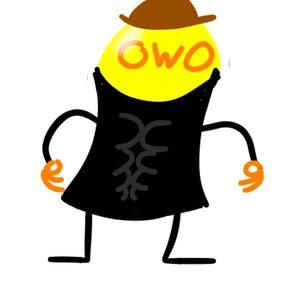 Mr OwO
