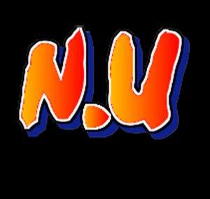 Naruto Unidos