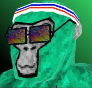 PATT_SWAG