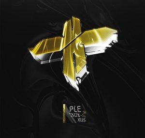 plexus