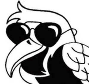 Raven Avans
