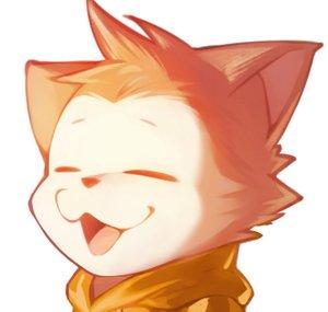 옥냥이 RoofTopCAT
