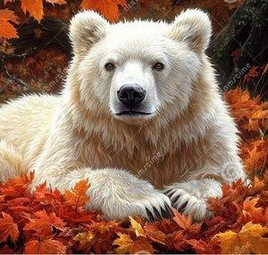 Spirit Bear Talks Solar & More