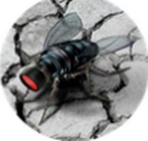 Spyfly