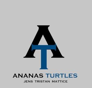 Ananas Turtles
