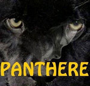 BLACKPANTHER0012
