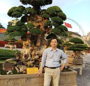BONSAI VÀ LÀM VƯỜN