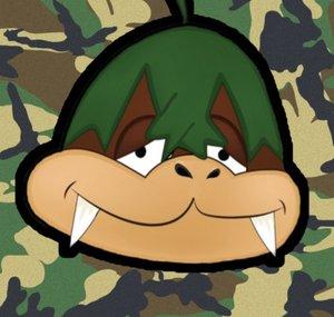 Camo Koopa