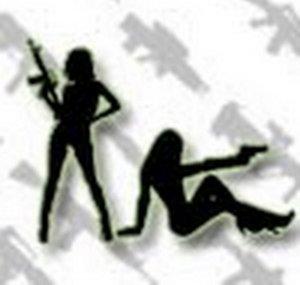 FirearmTutorials .com