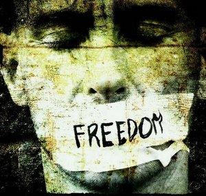 FreedomToTruth