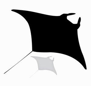 Manta Trust