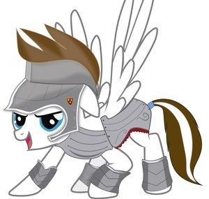 The SpartanGuard