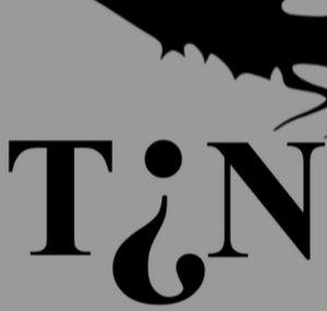 TheIndecisiveNitwits