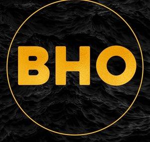 Baltic House Orchestra
