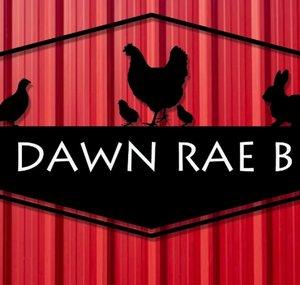 Dawn Rae B