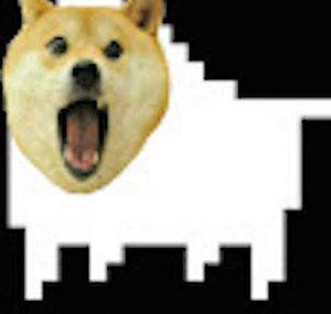 dogeokwhat