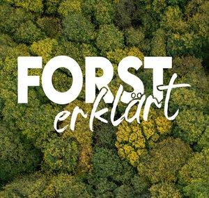 Forest explained