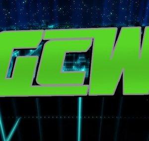 G97 WWE FIGURES