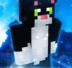 Kociarz Minecraft