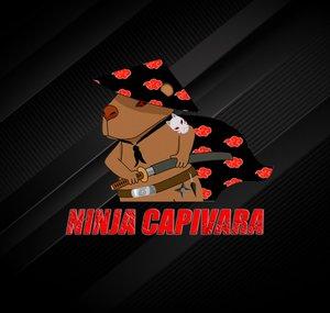 Os ninjas capivara