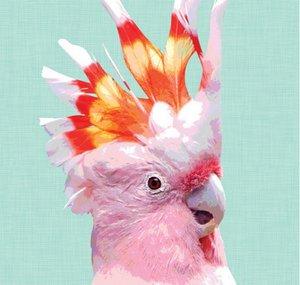 Oz Birds