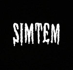Simtem