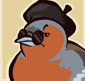 The Book Finch