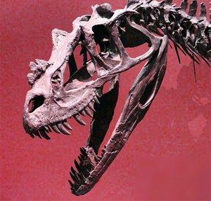 C-Rex Gaming