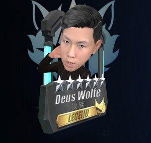 Deus Wolfe灰狼打電玩