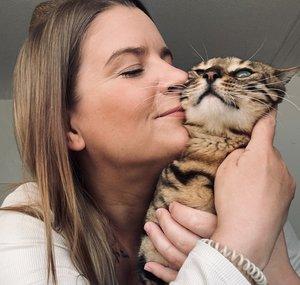 Diese eine Katze 