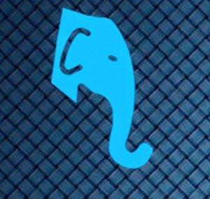 Elefante Sessions
