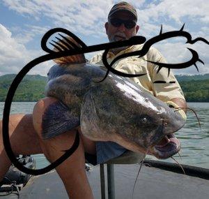 FV-Catfish.com
