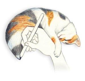 I Love To Draw Cats